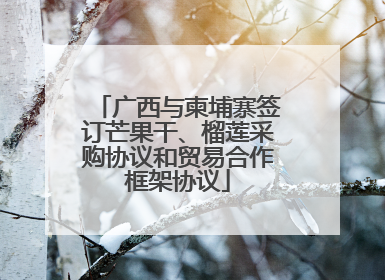 广西与柬埔寨签订芒果干、榴莲采购协议和贸易合作框架协议