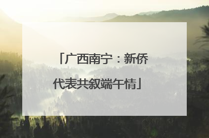 广西南宁：新侨代表共叙端午情