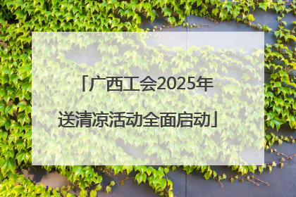 广西工会2025年送清凉活动全面启动