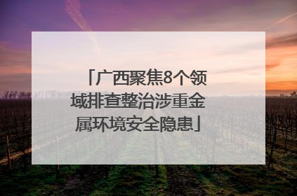 广西聚焦8个领域排查整治涉重金属环境安全隐患