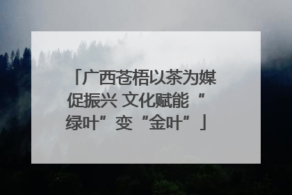 广西苍梧以茶为媒促振兴 文化赋能“绿叶”变“金叶”