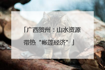 广西贺州：山水资源带热“帐篷经济”