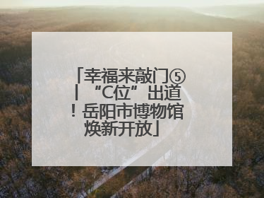 幸福来敲门⑤丨“C位”出道！岳阳市博物馆焕新开放