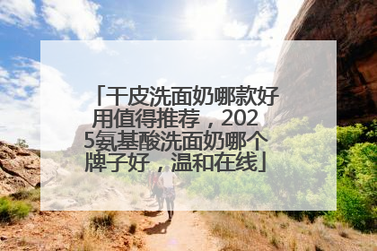 干皮洗面奶哪款好用值得推荐，2025氨基酸洗面奶哪个牌子好，温和在线