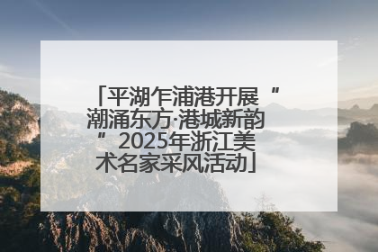 平湖乍浦港开展“潮涌东方·港城新韵”2025年浙江美术名家采风活动