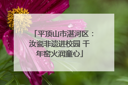 平顶山市湛河区：汝瓷非遗进校园 千年窑火润童心