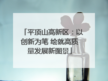 平顶山高新区：以创新为笔 绘就高质量发展新图景
