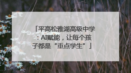 平高松雅湖高级中学：AI赋能，让每个孩子都是“重点学生”