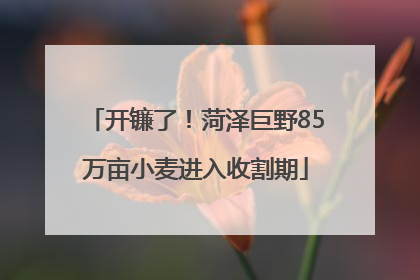 开镰了！菏泽巨野85万亩小麦进入收割期