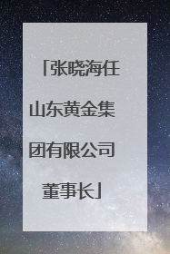 张晓海任山东黄金集团有限公司董事长