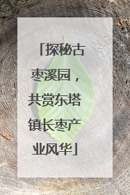 探秘古枣溪园，共赏东塔镇长枣产业风华