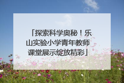 探索科学奥秘！乐山实验小学青年教师课堂展示绽放精彩