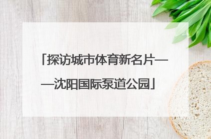 探访城市体育新名片——沈阳国际泵道公园