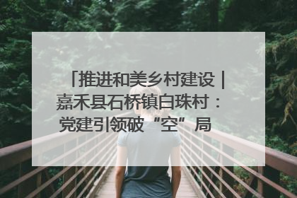 推进和美乡村建设｜嘉禾县石桥镇白珠村：党建引领破“空”局 乡贤聚力绘就新图景