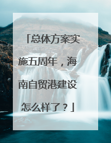 总体方案实施五周年，海南自贸港建设怎么样了？