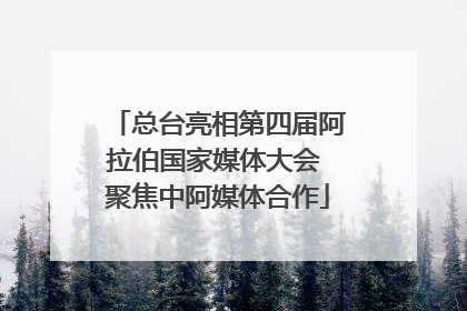 总台亮相第四届阿拉伯国家媒体大会 聚焦中阿媒体合作