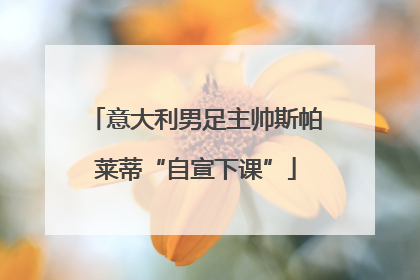意大利男足主帅斯帕莱蒂“自宣下课”