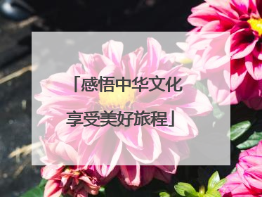 感悟中华文化 享受美好旅程
