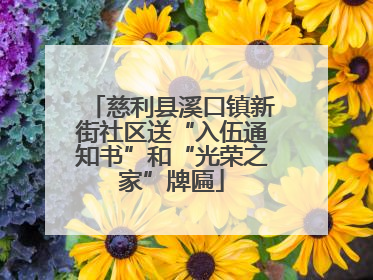 慈利县溪口镇新街社区送“入伍通知书”和“光荣之家”牌匾