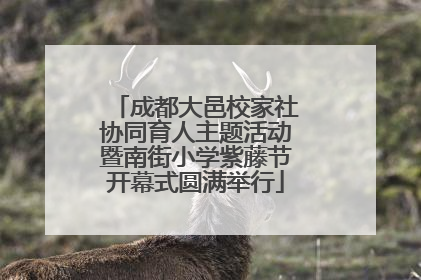 成都大邑校家社协同育人主题活动暨南街小学紫藤节开幕式圆满举行