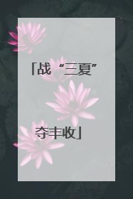 战“三夏” 夺丰收