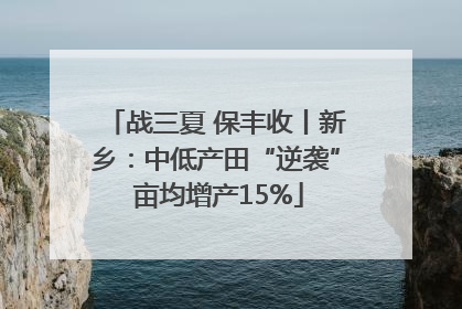 战三夏 保丰收丨新乡：中低产田“逆袭” 亩均增产15%