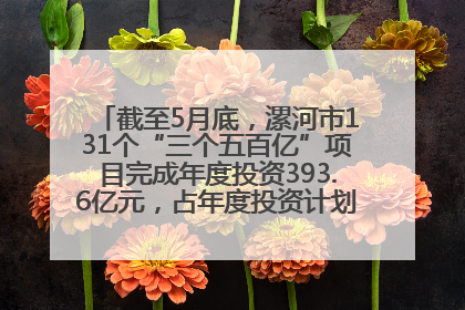 截至5月底，漯河市131个“三个五百亿”项目完成年度投资393.6亿元，占年度投资计划的50.41%——“三个五百亿”项目带动产业提质升级