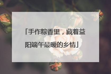 手作粽香里，藏着益阳端午最暖的乡情