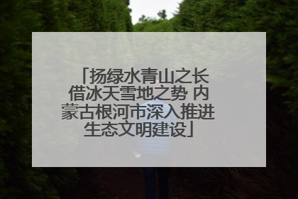扬绿水青山之长 借冰天雪地之势 内蒙古根河市深入推进生态文明建设