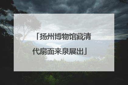 扬州博物馆藏清代扇面来泉展出