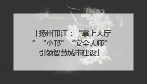 扬州邗江：“掌上大厅”“小邗”“安全大师”引领智慧城市建设
