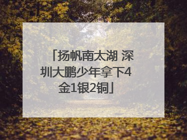 扬帆南太湖 深圳大鹏少年拿下4金1银2铜