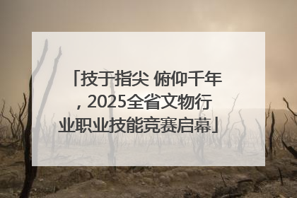 技于指尖 俯仰千年，2025全省文物行业职业技能竞赛启幕