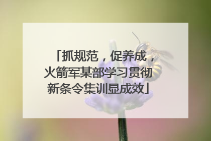 抓规范，促养成，火箭军某部学习贯彻新条令集训显成效