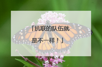 抗联的队伍就是不一样！