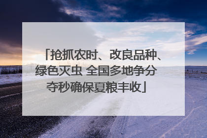 抢抓农时、改良品种、绿色灭虫 全国多地争分夺秒确保夏粮丰收