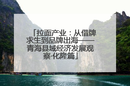 拉面产业：从借牌求生到品牌出海——青海县域经济发展观察·化隆篇