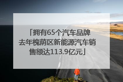 拥有65个汽车品牌 去年槐荫区新能源汽车销售额达113.9亿元