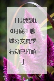 持续到10月底！聊城公安夏季行动已打响