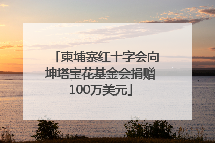 柬埔寨红十字会向坤塔宝花基金会捐赠100万美元