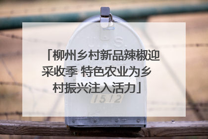 柳州乡村新品辣椒迎采收季 特色农业为乡村振兴注入活力