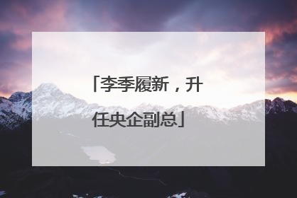 李季履新，升任央企副总