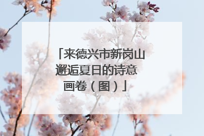 来德兴市新岗山 邂逅夏日的诗意画卷（图）