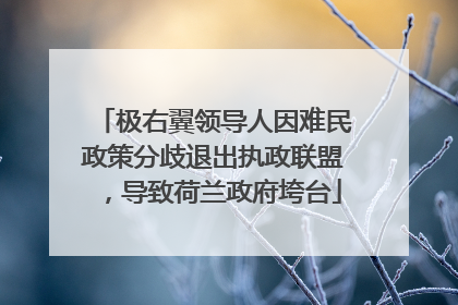极右翼领导人因难民政策分歧退出执政联盟，导致荷兰政府垮台