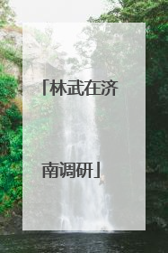 林武在济南调研
