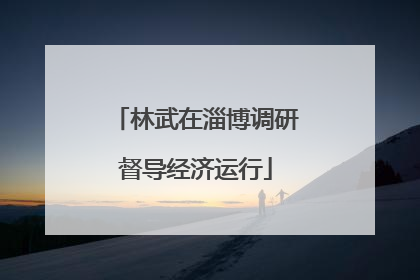 林武在淄博调研督导经济运行