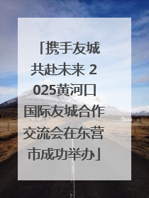 携手友城 共赴未来 2025黄河口国际友城合作交流会在东营市成功举办