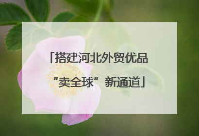 搭建河北外贸优品“卖全球”新通道