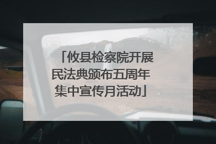 攸县检察院开展民法典颁布五周年集中宣传月活动