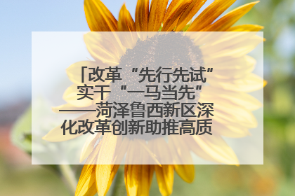 改革“先行先试” 实干“一马当先”——菏泽鲁西新区深化改革创新助推高质量发展纪实